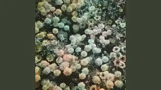 Flyover
