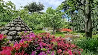 Jardin Japonais &agrave; Paris : Mus&eacute;e Albert-Kahn