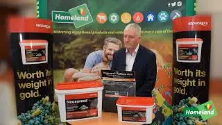 Homeland.ie Rodent Control Systems