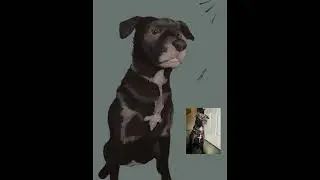 Ivy - Digital dog portrait timelapse - Procreate