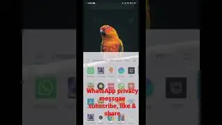 Poco X3 whatsApp Privacy policy accept message popup