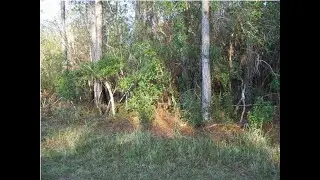 Lots And Land for sale - MAURA DRIVE 18, BAYOU LA BATRE, AL 36509