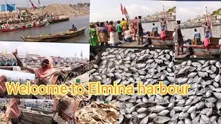 Vlog:A TOUR TO ELMINA FISHING HARBOUR//CENTRAL REGION