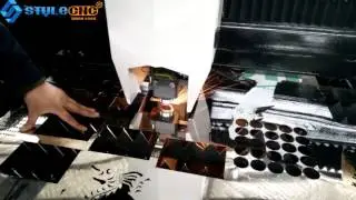 STYLECNC 500w fiber laser cutting machine for cutting 2mm ss