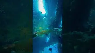 Inside USAT Liberty wreck in Bali, Indonesia🚢 #wreckdiving #scuba #scubadiving #explore #fyp #ocean