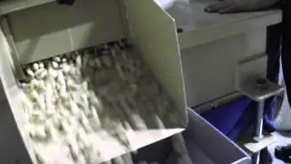 Antep fıstığı Boş dolu ayırma hafif tane makinesi