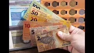 C&Eacute;DULAS BANHADAS EM OURO? SER&Aacute; MESMO?
