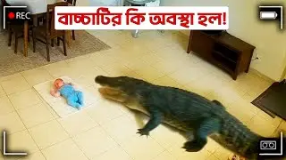 মানুষকে বাঁচানো হিরো পশু | Pet animals saved their owners | Hero Animals