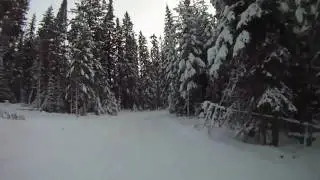 Moose crossing while cross-country skiing at Stake Lake