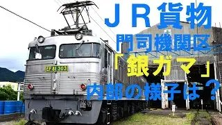 【東京新聞鉄道クラブ】ＪＲ貨物門司機関区 ＥＦ81「銀ガマ」を取材　Tokyo Shimbun Railway Club  JR Freight Moji Locomotive Depot.