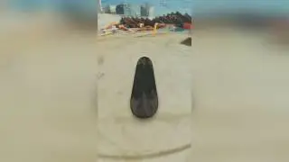 True Skate краткий обзор