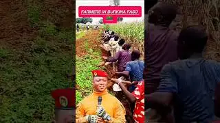 Farming Techniques in Burkina Faso 🇧🇫 | Farmers Working Together for Growthe