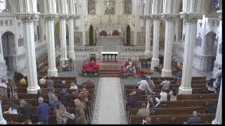 January 1 2026 Mass for the Solemnity of Mary, Mother of God.