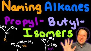 Naming Alkanes with Propyl & Butyl Isomers | Organic Chemistry Tutorial for Students