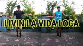 LIVIN LA VIDA LOCA - RICKY MARTIN / Stillpogi DWO