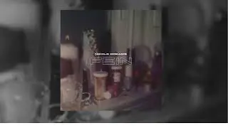 Nicole Dreams - FEIN