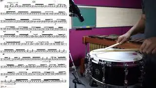 Portraits In Rhythm CIRONE SNARE DRUM NO.44