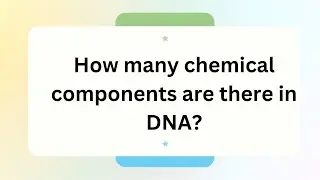 BIF101 Assignment 1 Fall 2026 | Question 1 | Introduction to Bioinformatics | Query Point Official