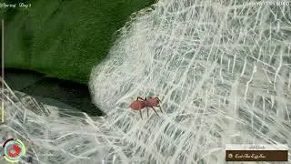 Janky Jumping Spider... ~~ Let's Play Drunk On Nectar! III