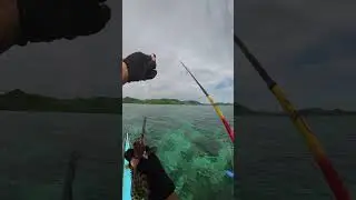 Elnido Palawan Fishing Adventure UNLIMITED GROUPER Fish 🎣😱