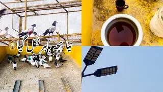 sardi me garm pani ka istamal|Pata nie chirimar kese chirimari kar lete🤔|Razzaqoffical-petslover|