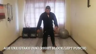 Follow along 20 Minute Karate Tabata Workout