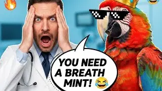 &ldquo;This Parrot Roasted the Doctor HARD 😭🦜&rdquo;