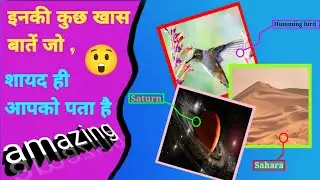 Humming bird |Sahara registaan|Sani grah|1Video Full lnformation