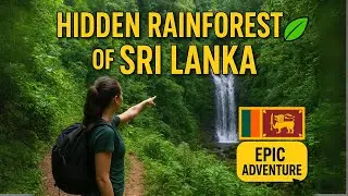 Kanneliya Rainforest Sri Lanka | Hidden Gem Jungle Hike & Waterfalls #travel  #srilanka #forest