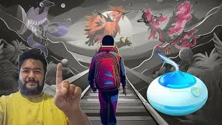 1 Hour in 4 Minutes - Day One of Hunting the Shiny Galarian Birds