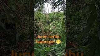 #petani #sawit #farming #daily #worker KEKUATAN SERIBU TANGAN 🤣