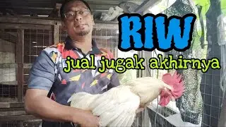 [Episod1564] akhirnya terpaksa lepaskan RIW, ikon  logo kebun abah
