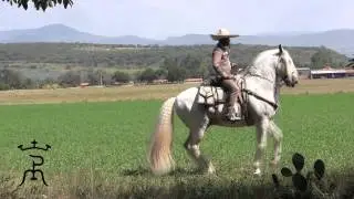 RANCHO LOS POTRILLOS JUCHITLAN Escolano