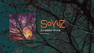 Soyuz - Sunpetal Grove (Official Audio)