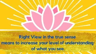 Words of Wisdom - Right View means to increase your level of understanding of what you see.