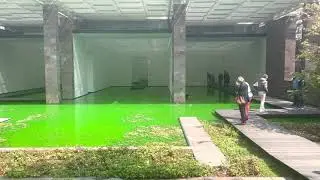 « Life » by Olafur Eliasson at the Beyeler Foundation. May 2021