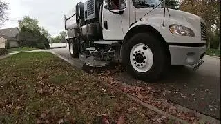 Leaf Sweeping with Elgin