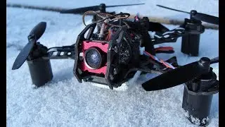 Eachine QX105 Bat Review