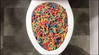 Will it Flush? - Coca Cola, Sprite, McDonald's and Gummy Worms