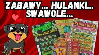 #278 🐕🐶🥰CO DZIŚ PRZYNIOSŁY ZDRAPY ?? 🥰🐶🐕#zdrapki #lotto #wygrana #yt #youtube