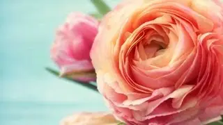 How to Pick Flowers for Vintage Wedding | Wedding Flowers