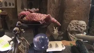 Alien Covenant Xenomorph Actual Film Set!
