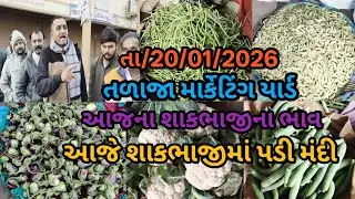આજે શાકભાજીમાં મંદી તળાજા માર્કેટિંગ યાર્ડ આજના શાકભાજી ના ભાવ