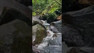 natural water therapy #flowingwater #flowingstream #forestrelaxation