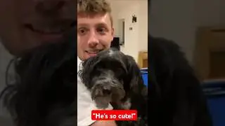 W2S Brings His Dog on Stream!