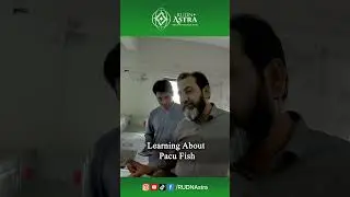 RUDN Astra | Learning About Pacu Fish at Wali Khan University Fish Lab
