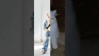 Aina-Bell&rsquo;s swag transformation #catlife#cat#catlovers#catvideos#cute#meowmoments#cattransformation