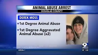 Animal Abuse Arrest