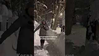 А что выберешь ты? #семейныйблог #смешноймуж #муж #юмор #смешное #смешноевидео #магний #настойки