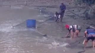 কনকনে ঠান্ডায় টানা জাল টেনে বড় বড় মাছ ধরলাম ll Fishing video ll Hook fishing ll Fishing by hand 